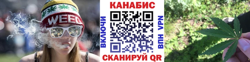 Конопля сатива  Купить где  Карабаш 